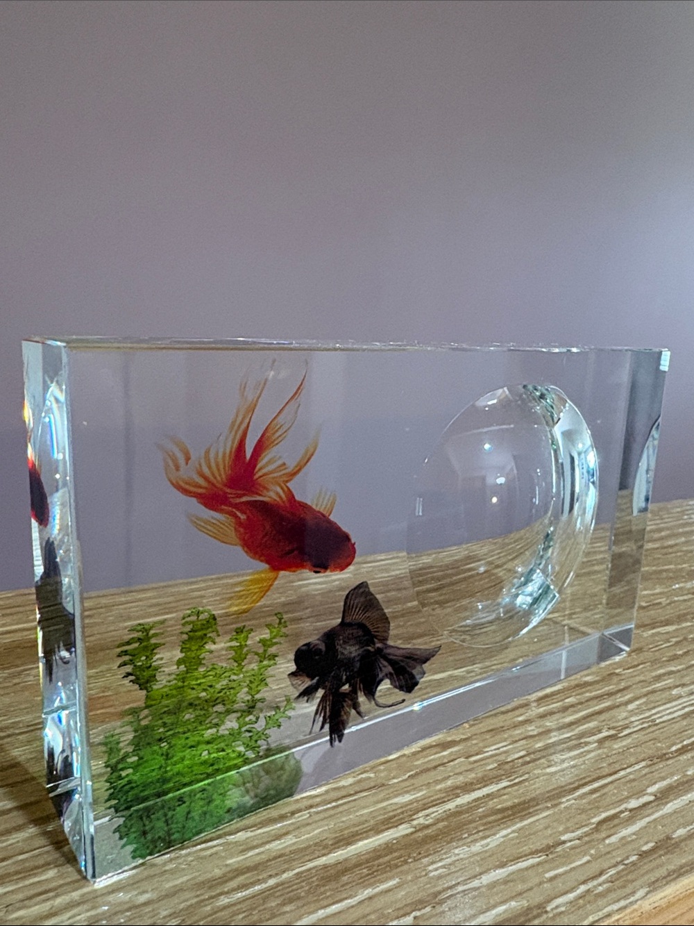 Clear Glass Crystal Paperweight Block with Goldfish Accent - Clear